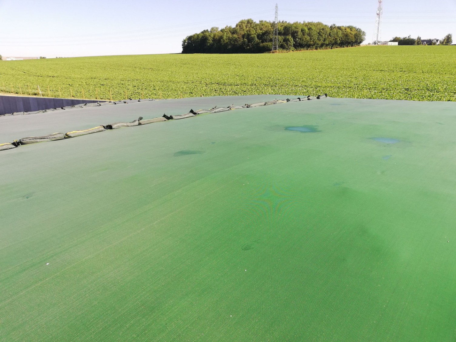 SealPlus Beige undercoat 45 µm - VELITEX